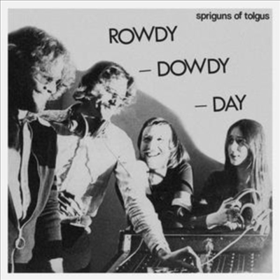 Spriguns Of Tolgus - Rowdy. Dowdy Day (LP)