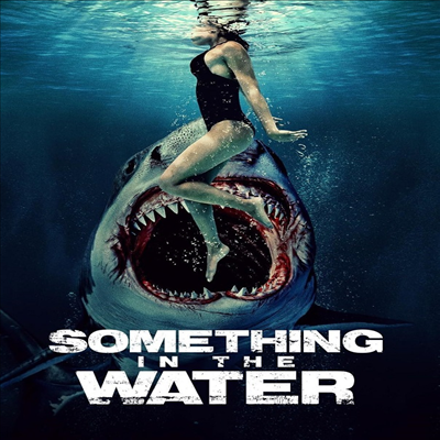 Something In The Water (썸씽 인 더 워터) (2024)(지역코드1)(한글무자막)(DVD)