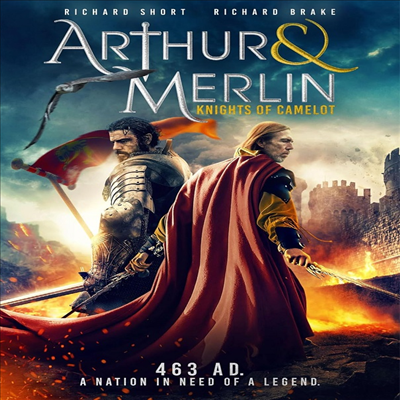 Arthur &amp; Merlin: Knights of Camelot (킹 아더 카멜롯의 기사) (2020)(지역코드1)(한글무자막)(DVD)