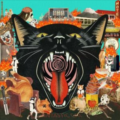 Fantastic Cat - Cat Out Of Hell (Digipack)(CD)