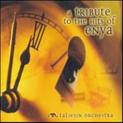 Taliesin Orchestra - Instrumental Tribute to the Hits of Enya