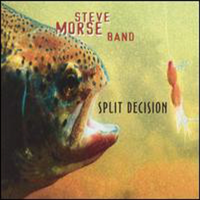 Steve Morse Band - Spilit Decision (CD)