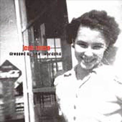 Josh Rouse - Dressed Up Like Nebraska (CD)