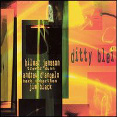 Hilmar Jensson - Ditty Blei (SACD Hybrid)