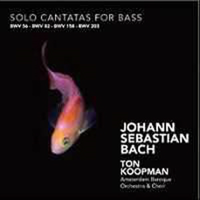 바흐 : 베이스 독창 칸타타 BWV 82, 56, 158 &amp; 203 (Bach : Solo Cantatas for Bass)(CD) - Ton Koopman