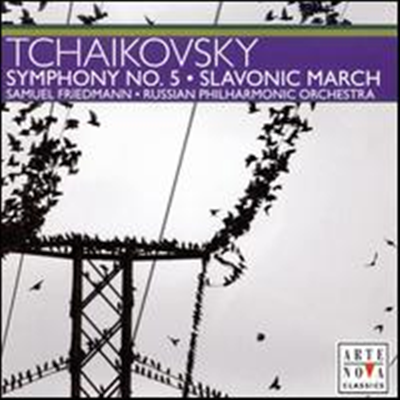 [독일 수입] 차이코프스키: 교향곡 5번, 슬라브 행진곡 (Tchaikovsky: Symphony No.5, Slavonic March) - Samuel Friedmann