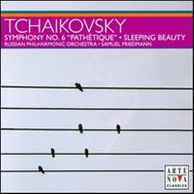 차이코프스키: 교향곡 6번 &#39;비창&#39;, 잠자는 숲속의 미녀 (Tchaikovsky: Symphony No.6 &#39;Pathetique&#39;, Sleeping Beauty) - Samuel Friedmann