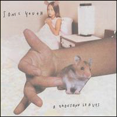 Sonic Youth - Thousand Leaves (CD)