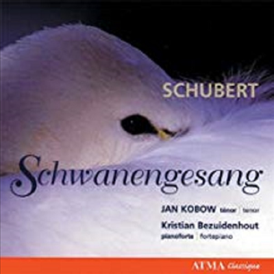슈베르트 : 백조의 노래 &amp; 멘델스존 : 6개의 하이네시에 의한 가곡 (Schubert : Schwanengesang)(CD) - Jan Kobow