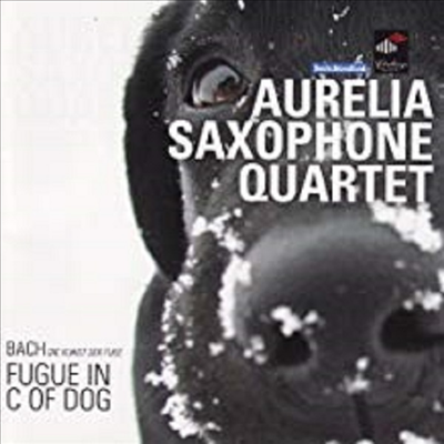 니콜로 : 강아지 C장조 푸가, 바흐 : 푸가의 기법 편곡반 (Nicolau : Fugue In C Of Dog, Bach : The Art Of Fugue BWV1080) (2CD) - Aurelia Saxophone Quartet