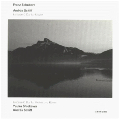 슈베르트 : 방랑자 환상곡 D.760, 바이올린과 피아노를 위한 환상곡 D.934 (Schubert : Wanderer Fantasies D.760, Fantasia for violin &amp; piano D.934)(CD) - Yuuko Shiokawa