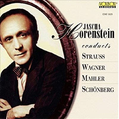 슈트라우스, 바그너, 말러, 쇤베르크 : 작품집 (Jascha Horenstein conducts Strauss, Wagner, Mahler, Schonberg) (2CD) - Jascha Horenstein