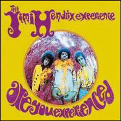 Jimi Hendrix Experience - Are You Experienced? (LP)