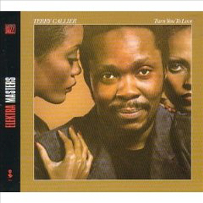 Terry Callier - Turn You to Love (Remastered)(LP)