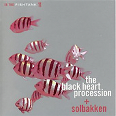 Black Heart Procession + Solbakken - In The Fishtank 11 (CD)