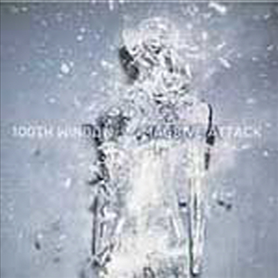 Massive Attack - 100Th Window (CD)