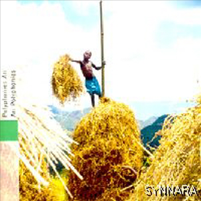 Various Artists - Ethiopia - Polyphonies Ari (CD)