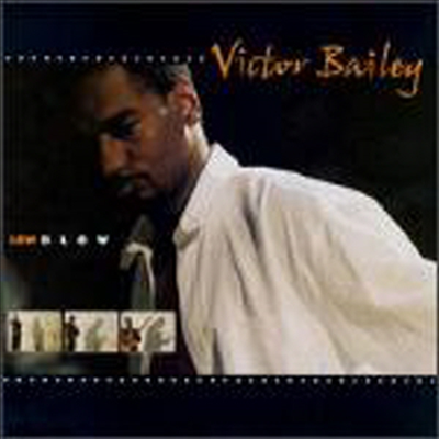 Victor Bailey - Low Blow (CD)