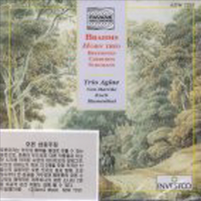 브람스 : 호른 삼중주 Op.40 &amp; 베토벤 : 호른 소나타 Op.17 (Brahms : Horn Trio Op.40)(CD) - Luc Van Marcke