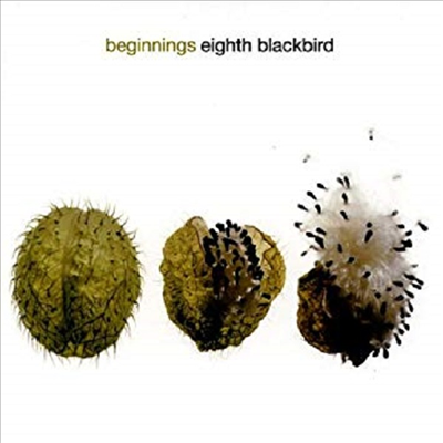 켈로그 : 권능의 신비, 크럼 : 고래의 목소리 - 태초에 (Kellogg : Divinum Mysterium, Crumb : Voice Of The Whale - For The Beginning Of Time)(CD) - Eighth Blackbird