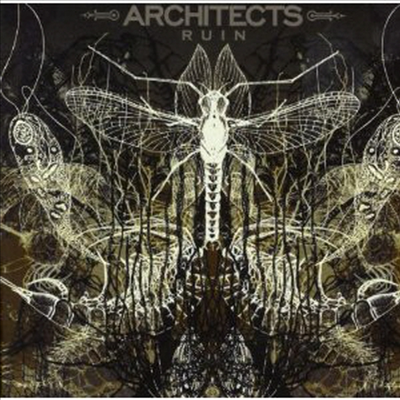 Architects - Ruin (CD)