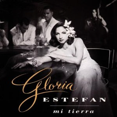 Gloria Estefan - Mi Tierra (CD)