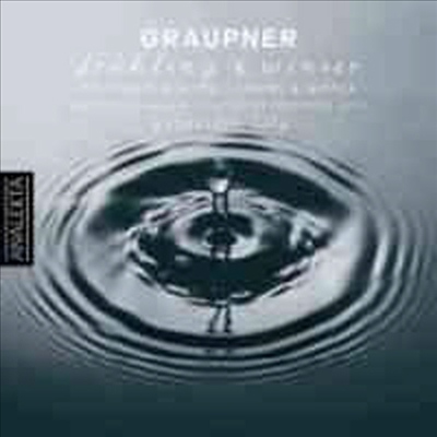 그라우프너 : 하프시코드 파르티타 Vol.6 (Graupner : Partitas for Harpsichord Volume 6)(CD) - Genevieve Soly