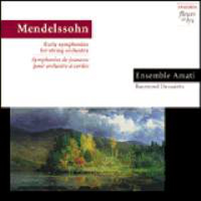 멘델스존 : 현악 교향곡 (Mendelssohn : String Symphony)(CD) - Raymond Dessaints