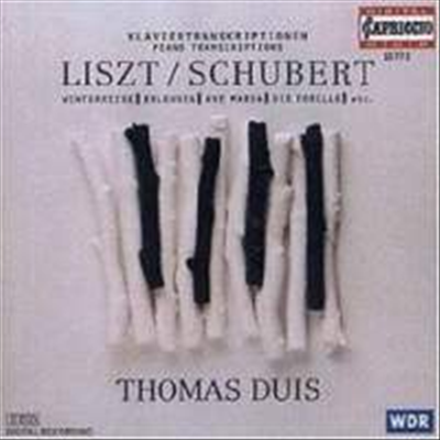 리스트/슈베르트 : 피아노 편곡집 (Liszt/Schubert : Piano Transcriptions) - Thomas Duis