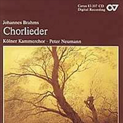브람스 : 합창곡집 (Brahms : Choral Songs)(CD) - Peter Neumann