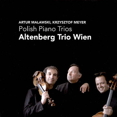 폴란드 작곡가의 피아노 삼중주 (Polish Piano Trios)(CD) - Altenberg Trio Wien