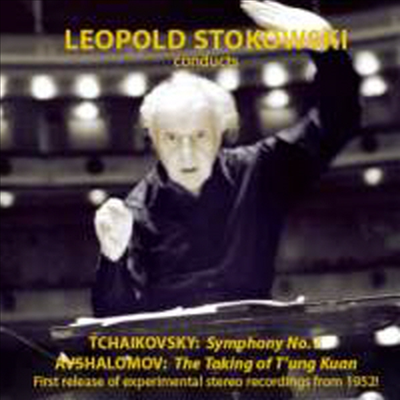 스토코프스키와 쿠벨릭의 스테레오 레코딩 (Stokowski &amp; Kubelik Conduct Experimental Stereo Recordings)(CD) - Leopold Stokowski