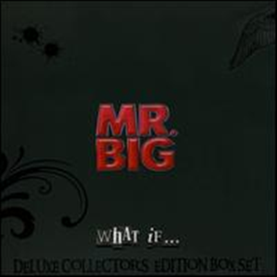 Mr. Big - What If... (CD+DVD+LP)(Limited Edition)(Box Set)
