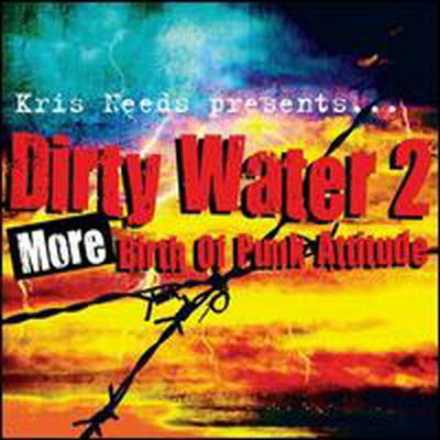 Various Artists - Dirty Water, Vol. 2: More Birth of Punk Attitude (2CD)(CD)