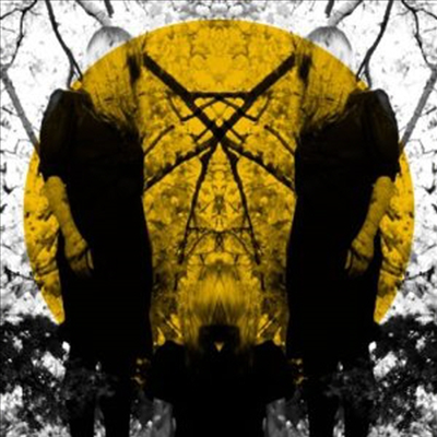 Austra - Feel It Break (2LP+Mp3)