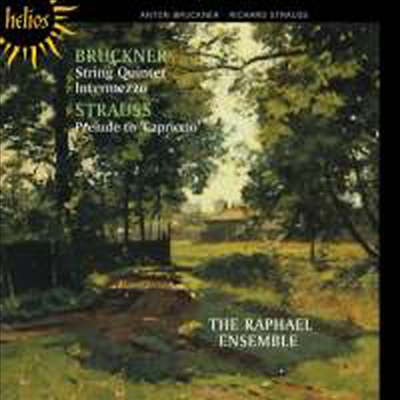 브루크너 : 현악 5중주, 인터메쪼 & R. 슈트라우스 : 카프리치오 Op.85 중 전주곡 (The Raphael Ensemble play Bruckner & Richard Strauss)(CD) - Raphael Ensemble