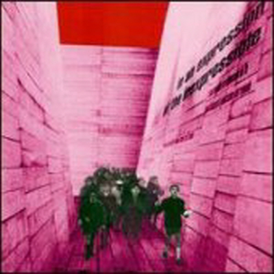 Blonde Redhead - In An Expression Of The Inexpressible (CD)