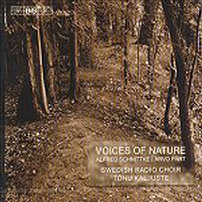 자연의 목소리 - 슈니트케와 패르트의 합창음악 (Voices of Nature - choir music by Schnittke and Part)(CD) - Tonu Kaljuste