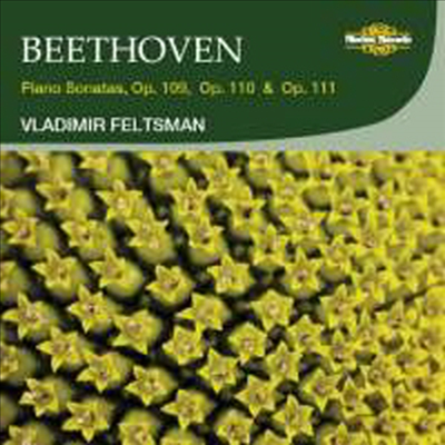 베토벤 : 피아노 소나타 Op.109, 110, 111 (Beethoven : Piano Sonatas Opp. 109-11)(CD) - Vladimir Feltsman