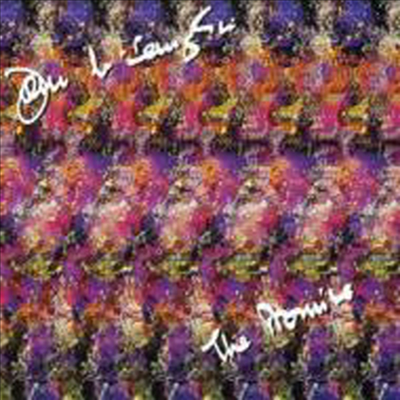 John McLaughlin - Promise (SHM-CD)(일본반)