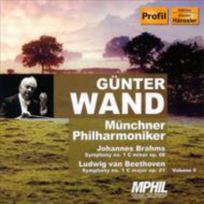 브람스: 교향곡 1번, 베토벤: 교향곡 1번 (Brahms & Beethoven: Symphony No.1) (일본반)(CD) - Gunter Wand