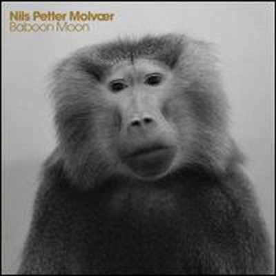 Nils Petter Molvaer - Baboon Moon (CD)