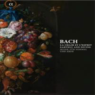 바흐의 세속음악과 종교음악 (Bach : Earthly and Divine - A visual and musical journey through the fascinating universe of Bach) (바흐 전기와 희귀 자료를 담은 200페이지 분량의 양장본 책자 + 베스트 바흐 