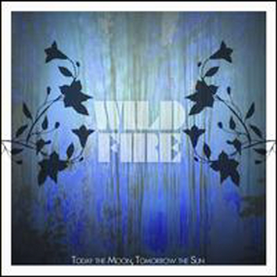 Today the Moon, Tomorrow the Sun - Wildfire (CD)