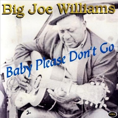 Big Joe Williams - Baby Please Don&#39;t Go (CD)