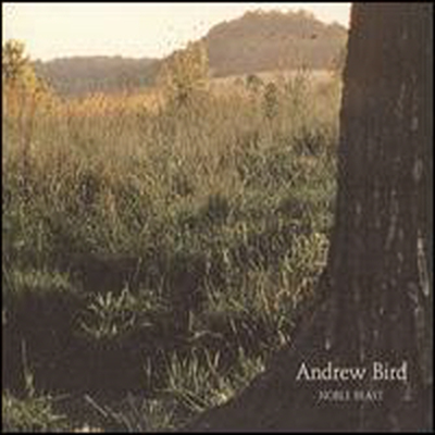 Andrew Bird - Noble Beast (2LP)