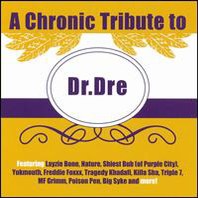 Dr Dre - Chronic Tribute To Dr Dre