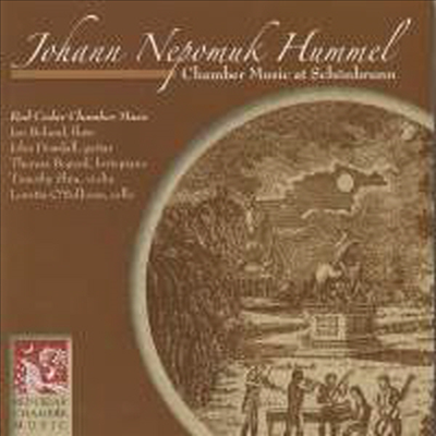 훔멜: 실내악 작품집 (Hummel: Chamber Music)(CD) - Loretta O&#39;Sullivan