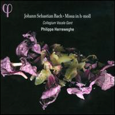 바흐: B단조 미사 (Bach: Missa in H-Moll) (2CD) - Philippe Herreweghe