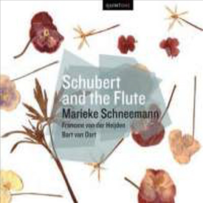 슈베르트: 바이올린 소나타 D장조 D.384 (Schubert: Sonatina in D major, D.384)(CD) - Marieke Schneemann